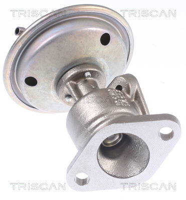 TRISCAN 8813 29340 AGR-Ventil