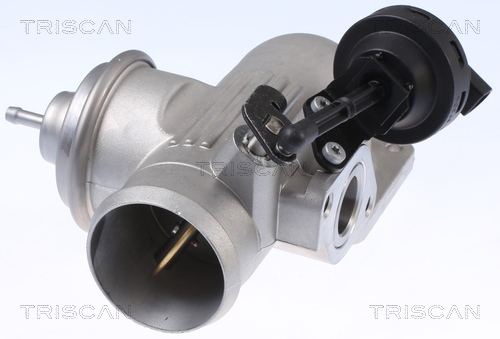 TRISCAN 8813 29342 Agr-Ventil