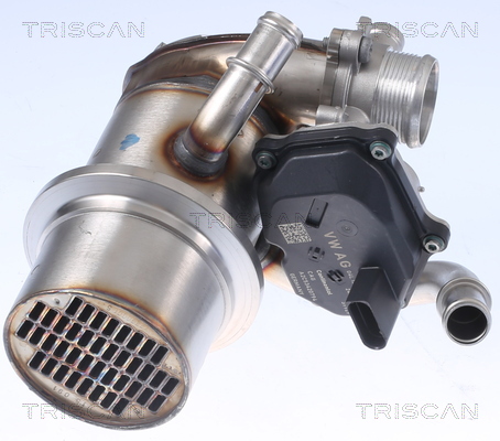 TRISCAN 8813 29345 Agr-Ventil