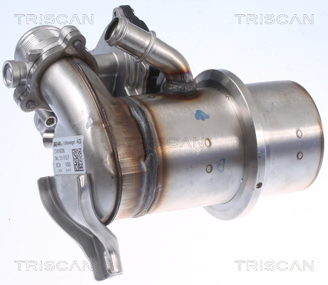 TRISCAN 8813 29345 AGR-Ventil