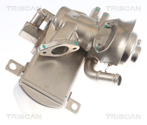 TRISCAN 8813 29347 AGR-Ventil