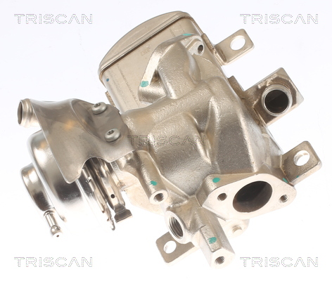 TRISCAN 8813 29347 AGR-Ventil
