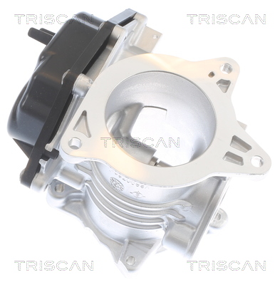 TRISCAN 8813 29348 AGR-Ventil