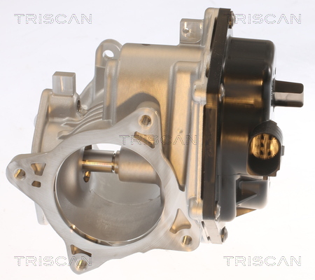 TRISCAN 8813 29348 AGR-Ventil