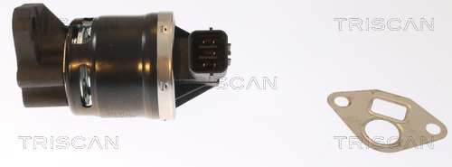 TRISCAN 8813 40001 AGR-Ventil