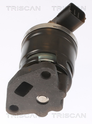 TRISCAN 8813 40001 AGR-Ventil