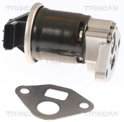 TRISCAN 8813 40002 AGR-Ventil