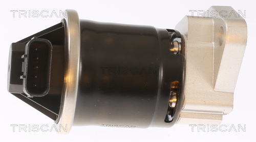 TRISCAN 8813 40003 AGR-Ventil