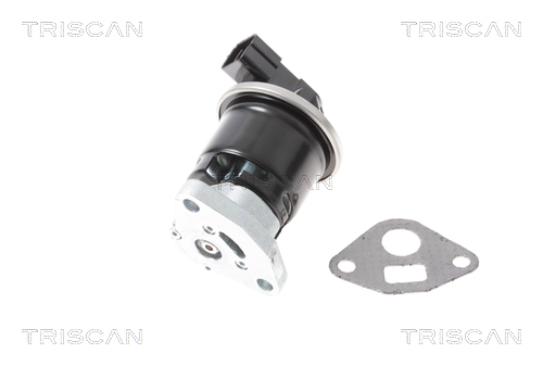 TRISCAN 8813 40013 AGR-Ventil