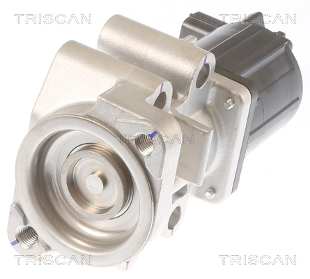 TRISCAN 8813 42001 AGR-Ventil