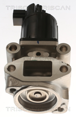 TRISCAN 8813 42002 AGR-Ventil