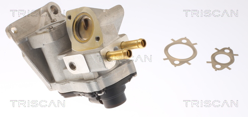 TRISCAN 8813 42002 AGR-Ventil