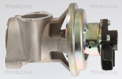 TRISCAN 8813 42003 AGR-Ventil