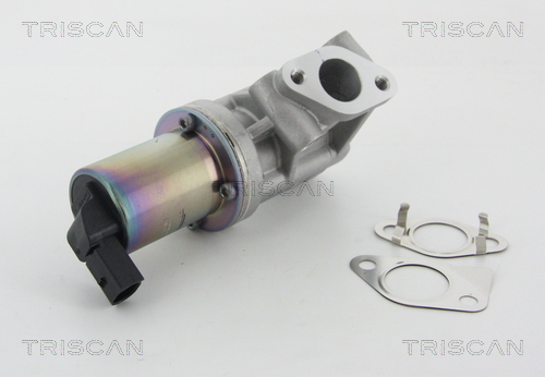 TRISCAN 8813 43001 AGR-Ventil