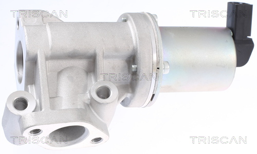 TRISCAN 8813 43009 Agr-Ventil