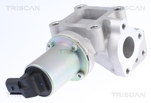 TRISCAN 8813 43015 Agr-Ventil