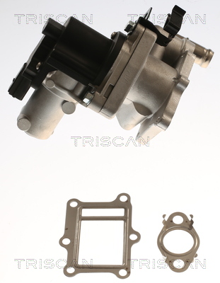 TRISCAN 8813 43017 AGR-Ventil