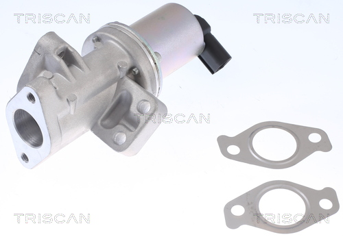 TRISCAN 8813 43024 Agr-Ventil