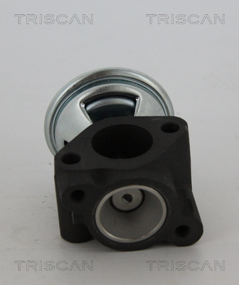 TRISCAN 8813 43040 Agr-Ventil