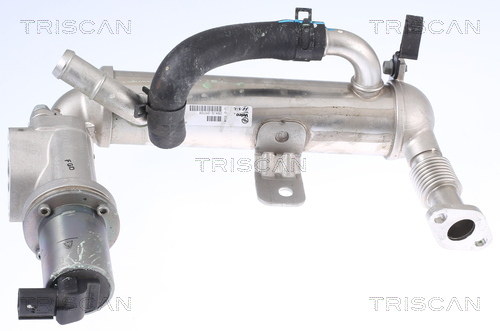 TRISCAN 8813 43041 Agr-Ventil