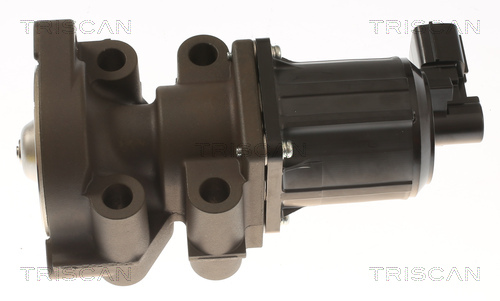 TRISCAN 8813 43055 AGR-Ventil