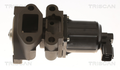 TRISCAN 8813 43055 AGR-Ventil