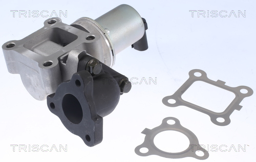 TRISCAN 8813 43200 AGR-Ventil