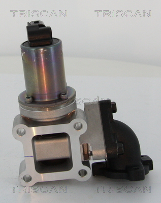 TRISCAN 8813 43200 AGR-Ventil