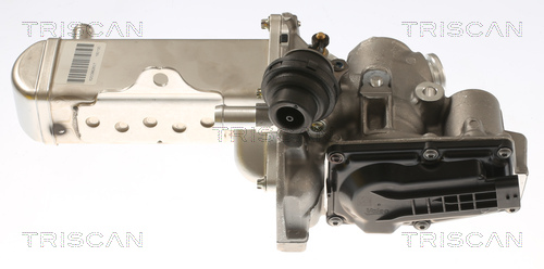 TRISCAN 8813 69102 AGR-Ventil