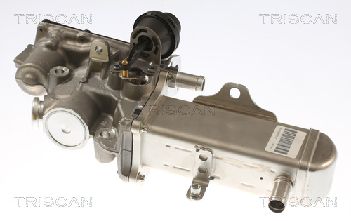 TRISCAN 8813 69102 AGR-Ventil