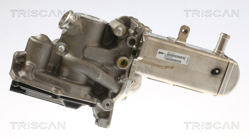 TRISCAN 8813 69102 AGR-Ventil