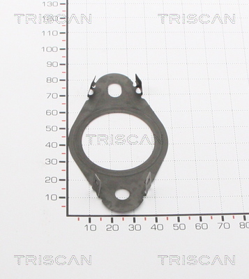 TRISCAN 8813 99120 Dichtung