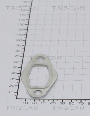 TRISCAN 8813 99121 Dichtung