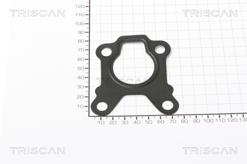 TRISCAN 8813 99123 Dichtung