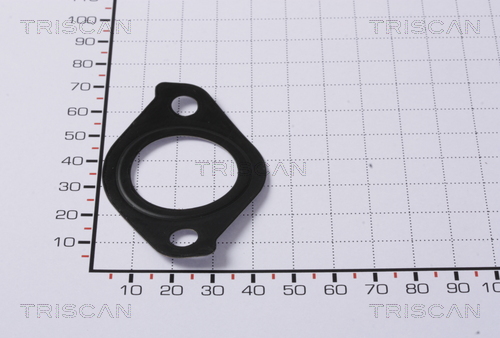 TRISCAN 8813 99125 Dichtung