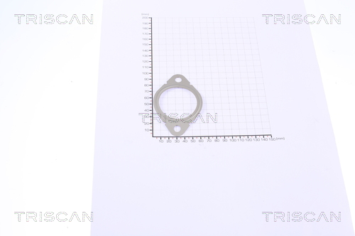 TRISCAN 8813 99126 Dichtung