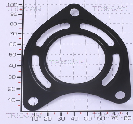 TRISCAN 8813 99141 Dichtung
