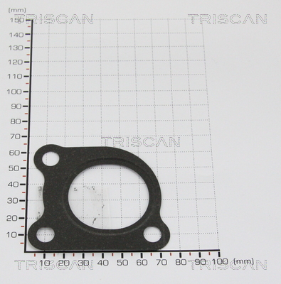 TRISCAN 8813 9916 Dichtung