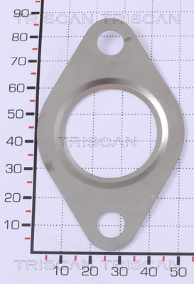 TRISCAN 8813 99160 Dichtung