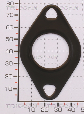 TRISCAN 8813 99161 Dichtung