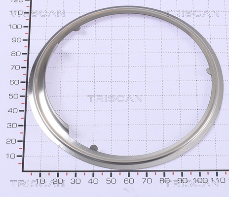 TRISCAN 8813 99174 Dichtung