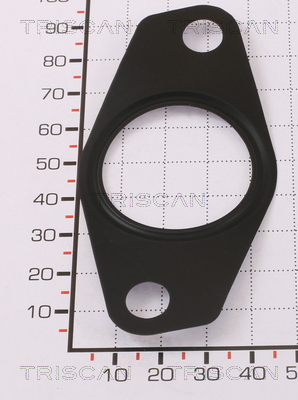 TRISCAN 8813 99179 Dichtung