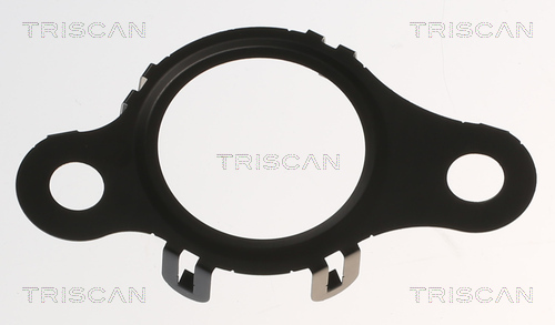 TRISCAN 8813 99191 Dichtung