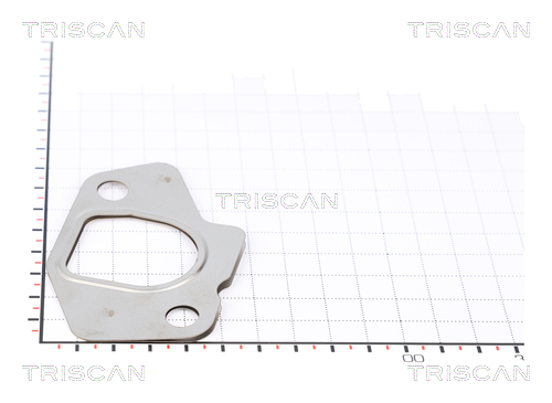 TRISCAN 8813 99194 Dichtung
