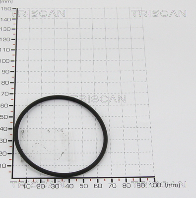 TRISCAN 8813 9937 