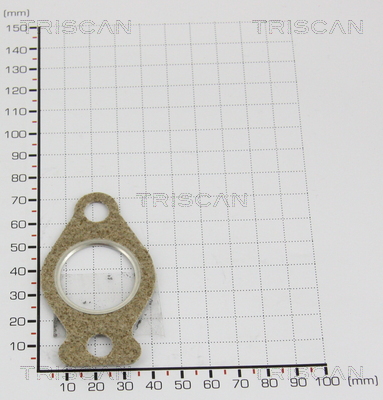 TRISCAN 8813 9951 Dichtung