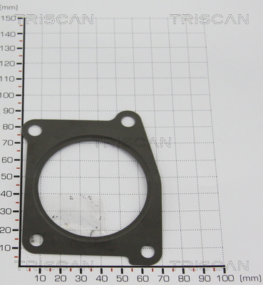 TRISCAN 8813 9971 Dichtung
