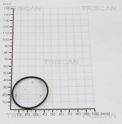 TRISCAN 8813 9974 Dichtung