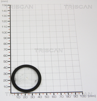 TRISCAN 8813 9977 Dichtung