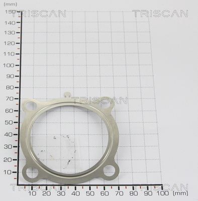 TRISCAN 8813 9989 Dichtung